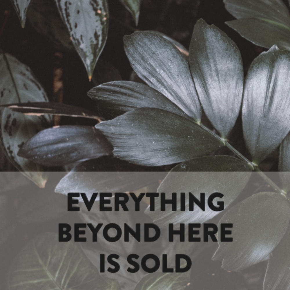 { Everything beyond here is sold }
